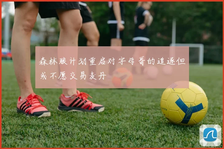 森林狼计划重启对字母哥的追逐但或不愿交易麦丹